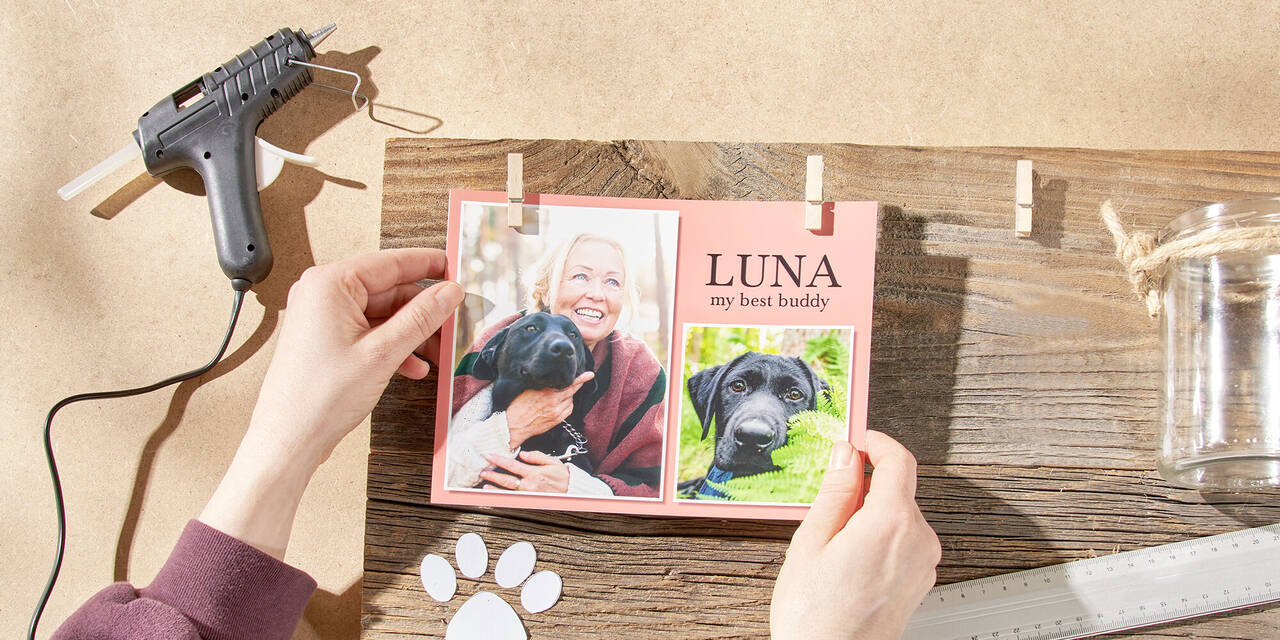 Zwei Hände hängen das Sofortfoto in die Wäscheklammern, auf dem die Besitzerin mit ihrem Hund und der Name „Luna“ zu sehen sind.